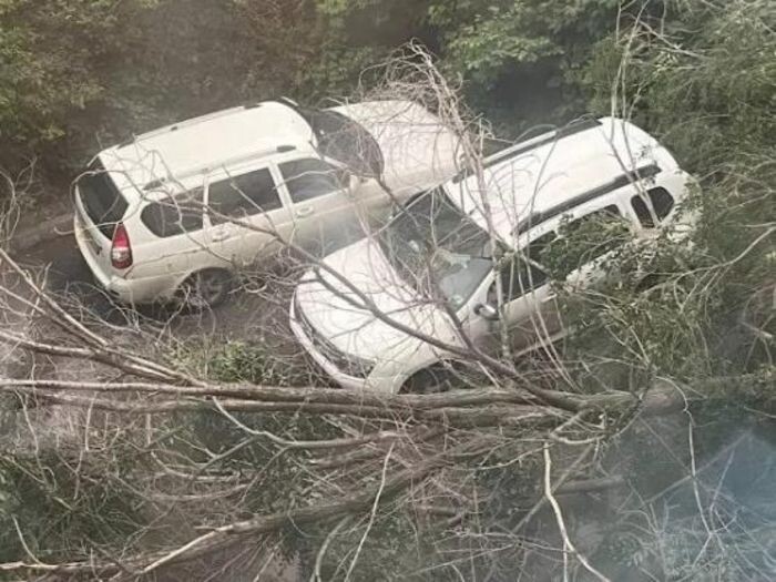 Источник фото: Соцсети