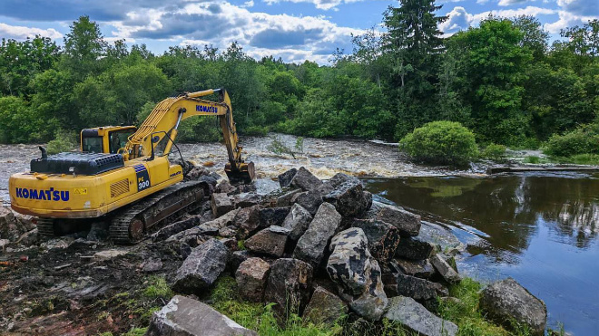 Фото: комитет по природным ресурсам Ленобласти
