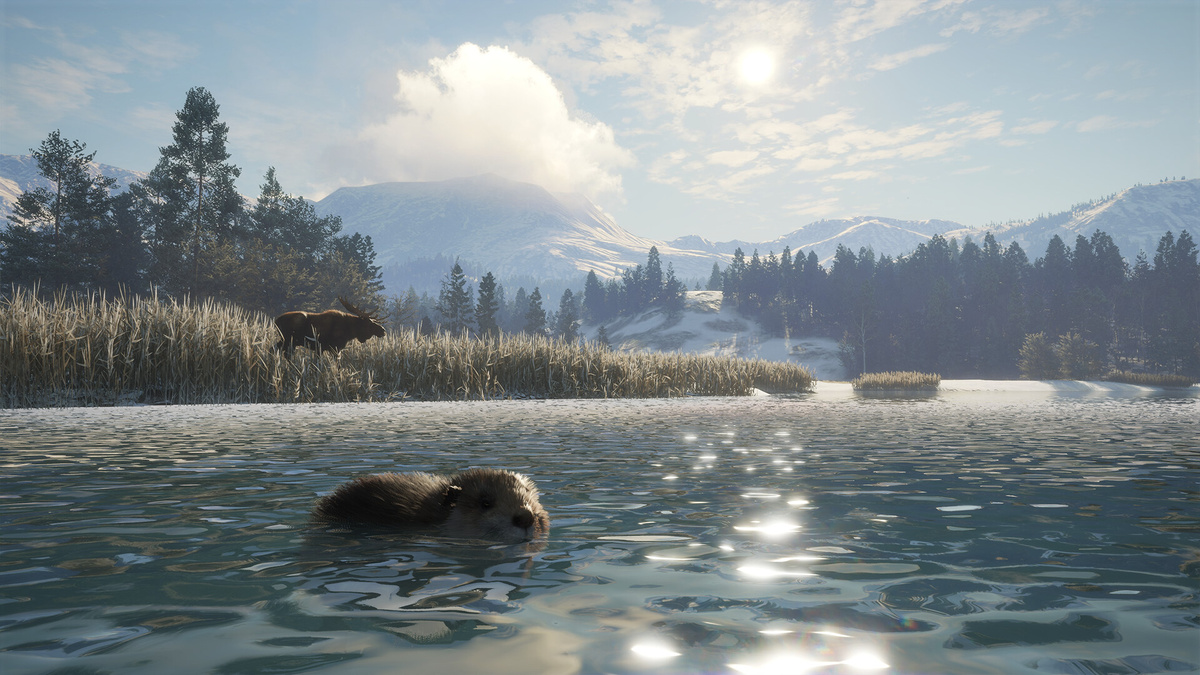 Один из скриншотов theHunter: Call of the Wild — Alberta Hunting Preserve. Источник: Steam