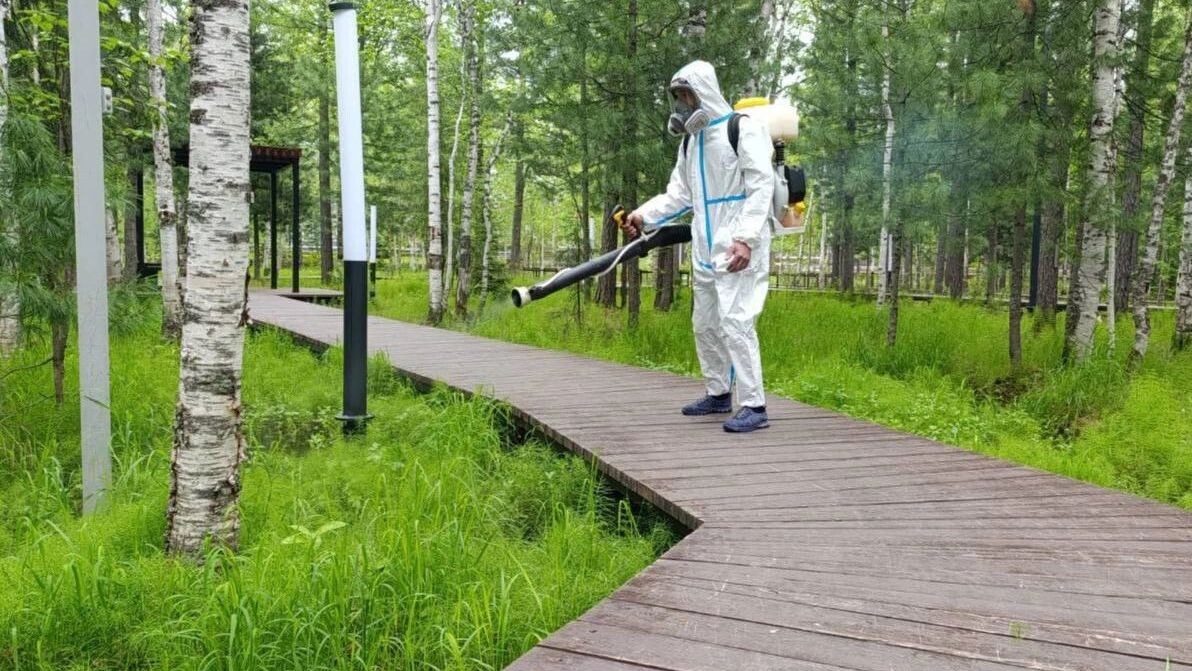    Фото: t.me/puradm