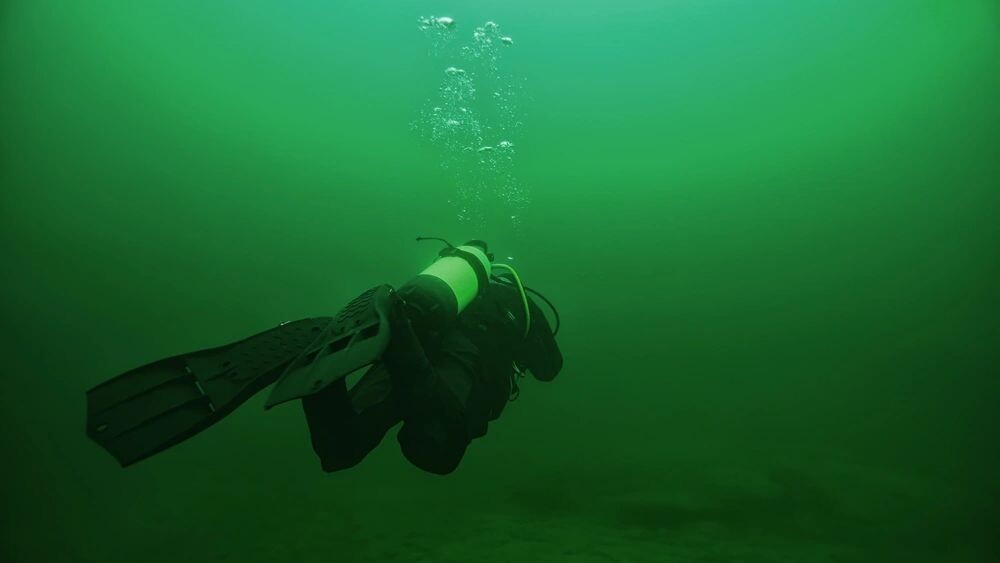    Фото: Kichigin/Shutterstock/Fotodom