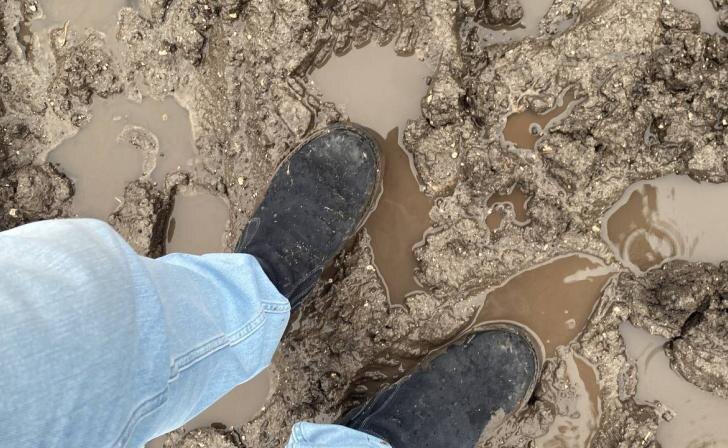    фото Курские известия