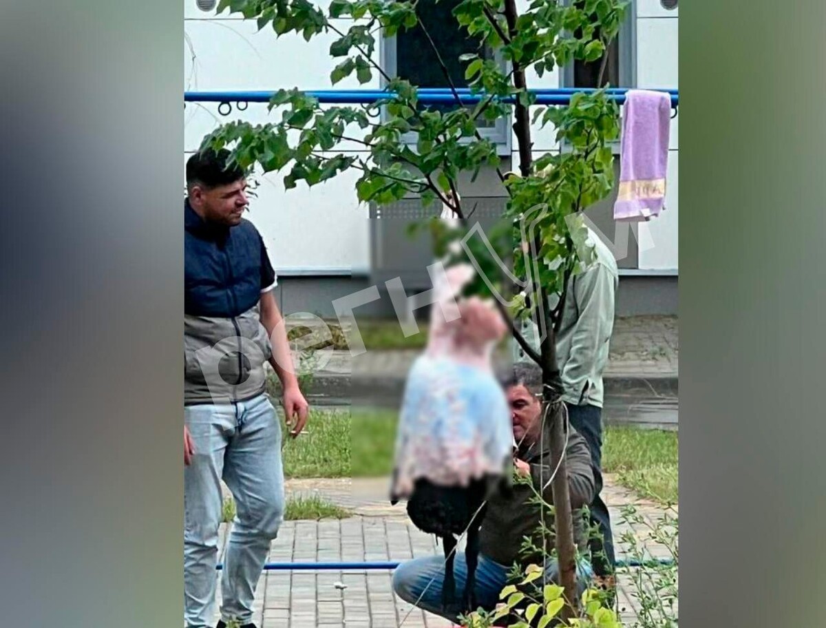     / Источник: © ИА Регнум