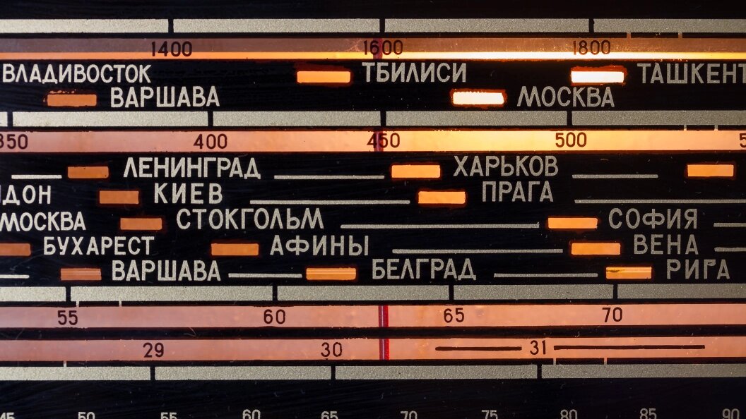    Фото: Ilya Galakhov /Globallookpress