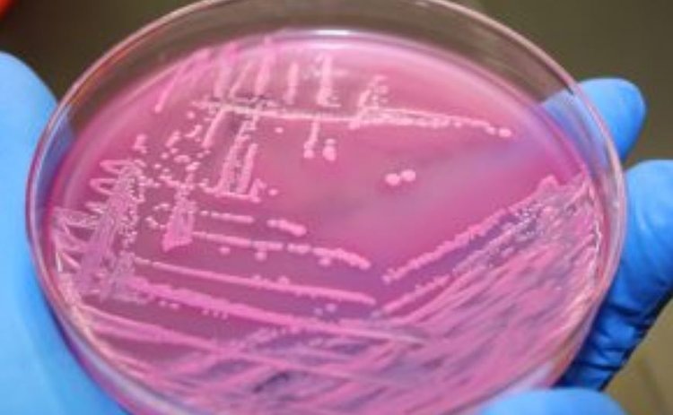    Фото: Россельхознадзор РФ