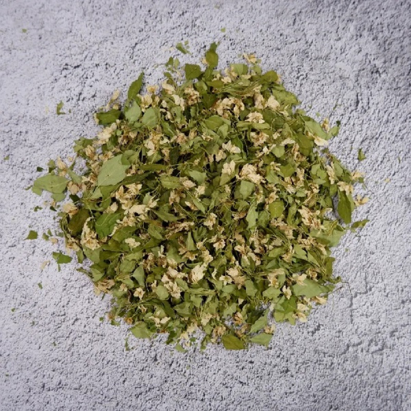 Листья яблони