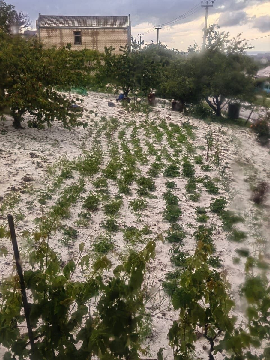 Град в Анапе 15 мая 2024г. В Анапе тогда выпал град размером с пятирублевую монету. Местные жители жаловались на побитый урожай.