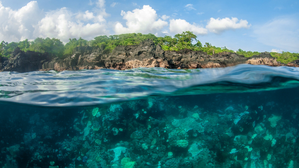     Фото: Sarah_lewis/Shutterstock/FOTODOM