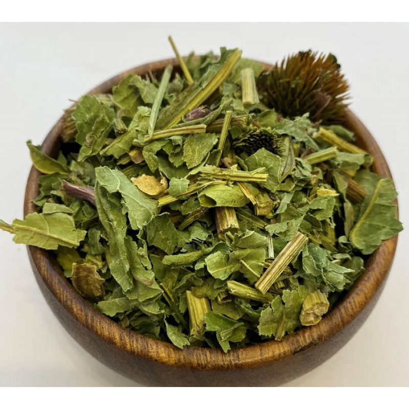 Трава эхинацеи