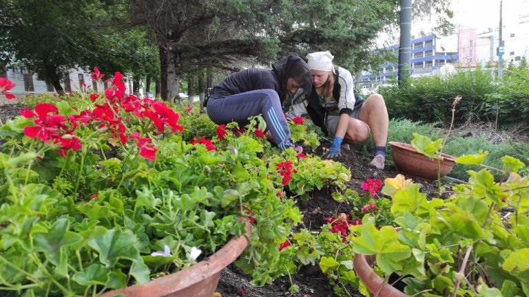    На улицах Оренбурга продолжают высаживать цветы Оренбуржье