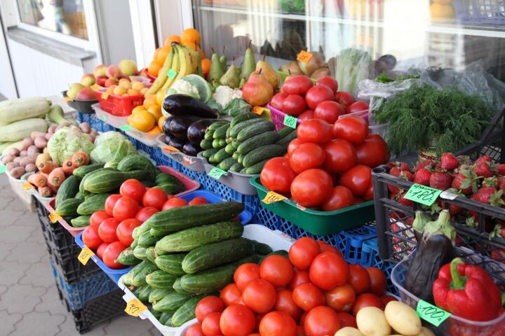    Фото: Александр Зинченко