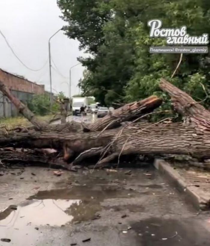 Источник фото: Телеграм-канал «Ростов Главный»