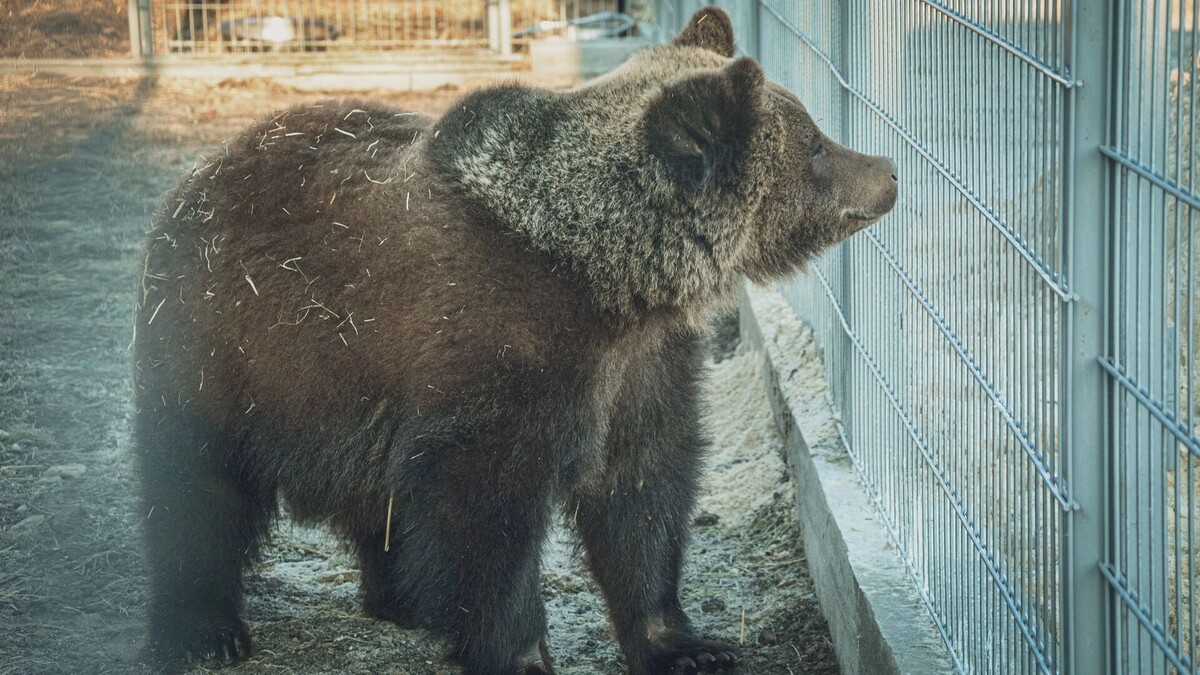     Источник: 1MI