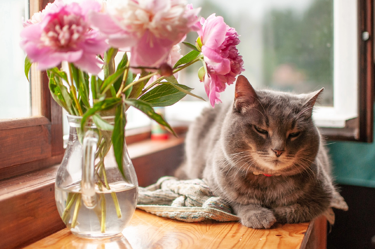 Личное фото