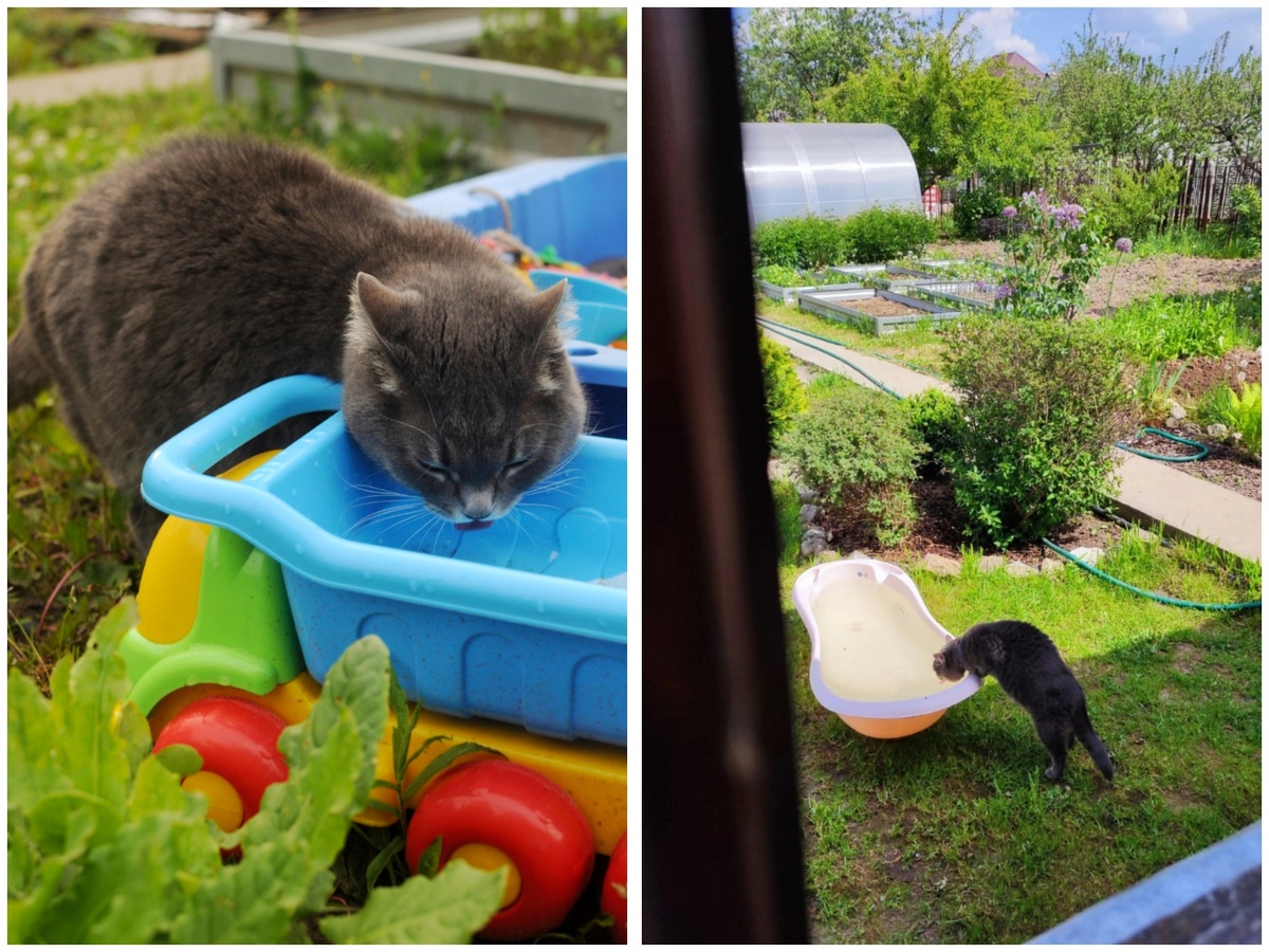 Личное фото