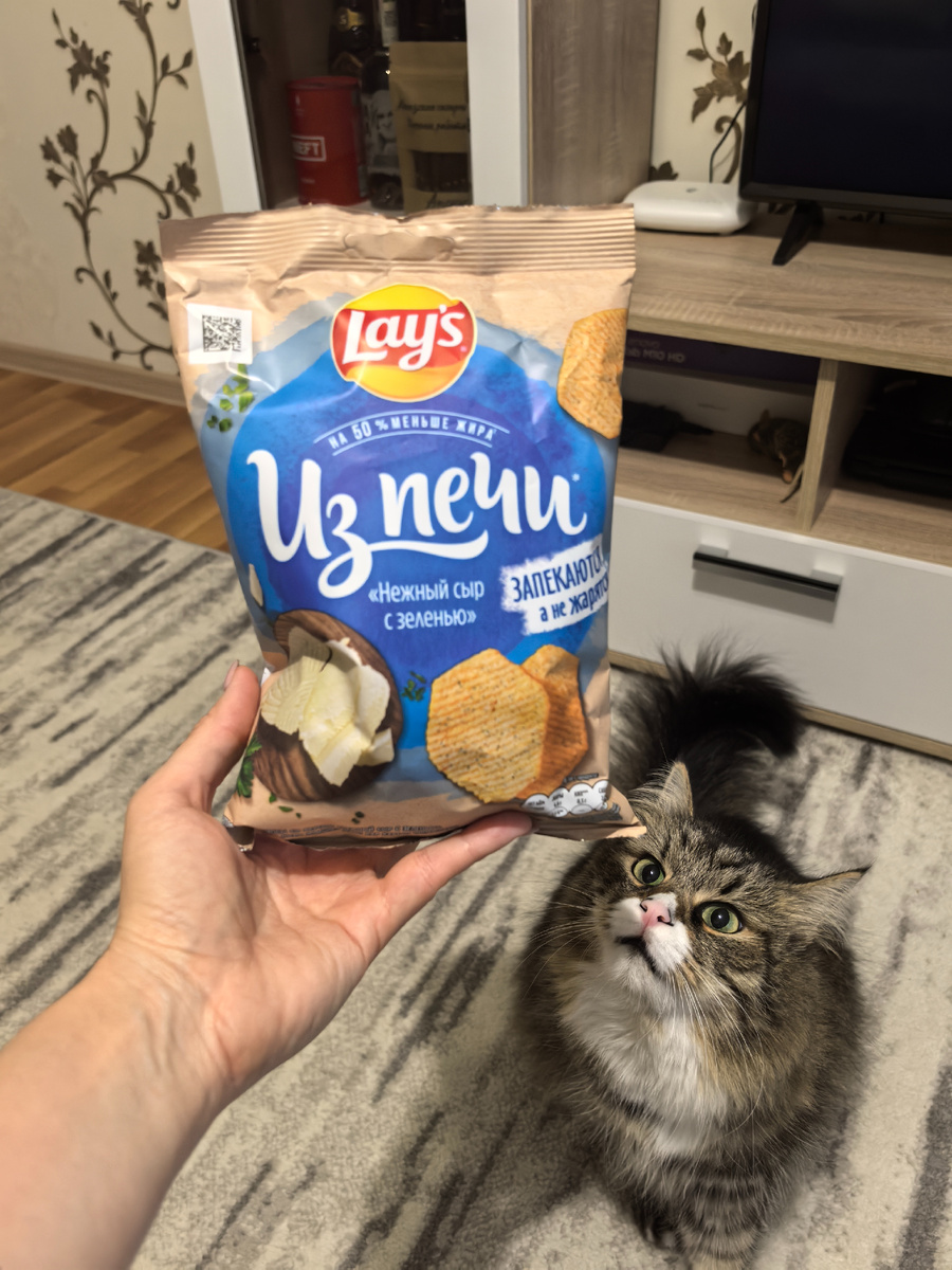 Любопытствующий