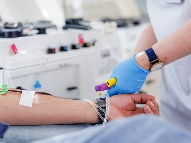    Фото: портал мэра и правительства Москвы/Олег Сосницкий