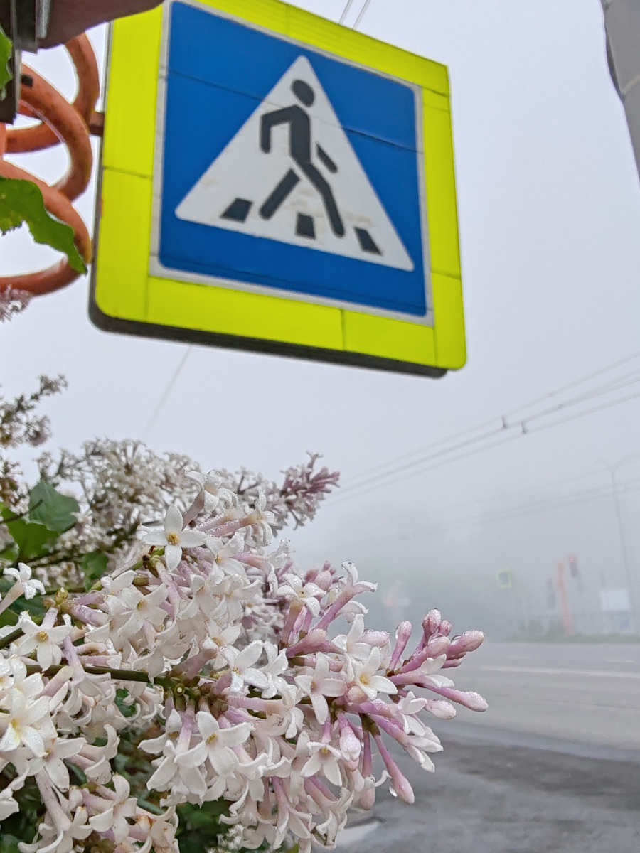 Пойдемте со мной