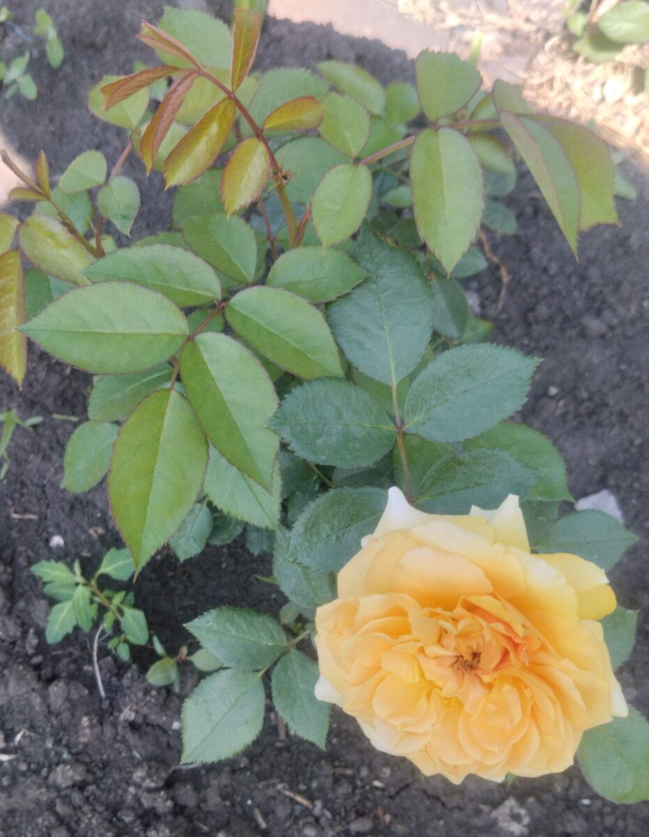 фото Татьяны