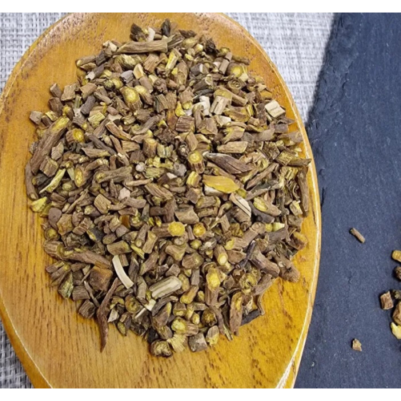 Шлемник корни