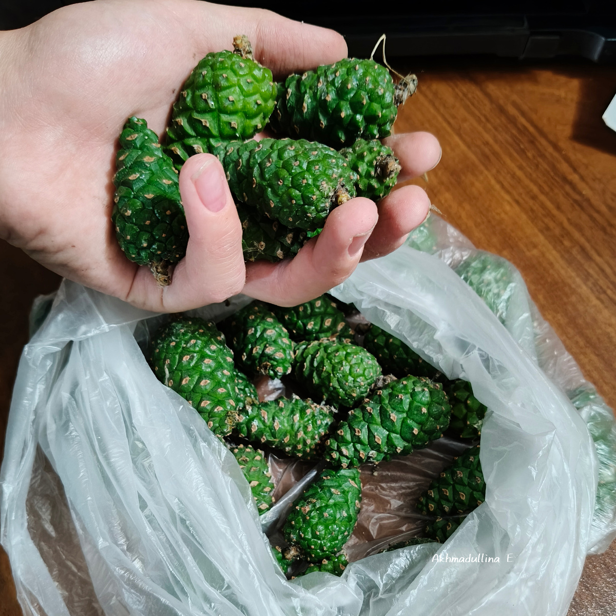 Сосновые шишки