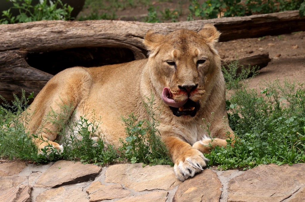    Фото © Всеволод Клещев / Абзац