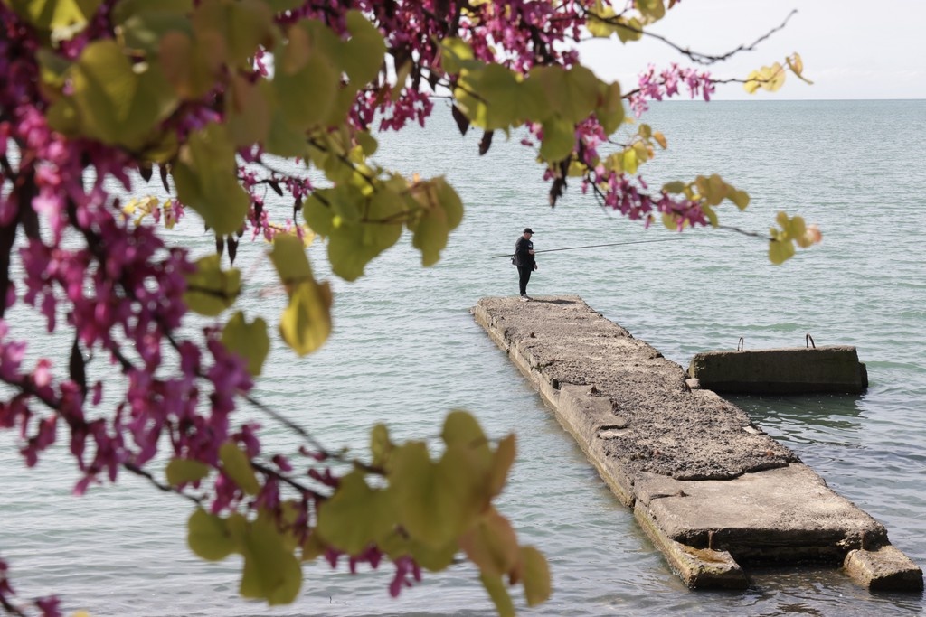    Фото © Дмитрий Феоктистов / ТАСС