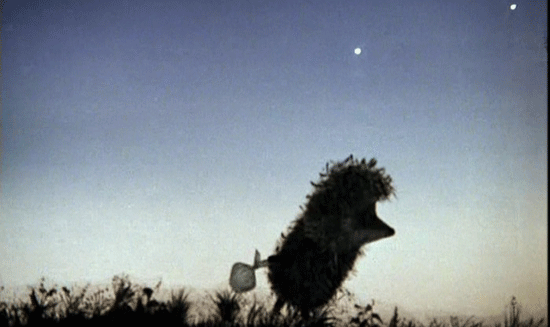 Фото из интернета. 