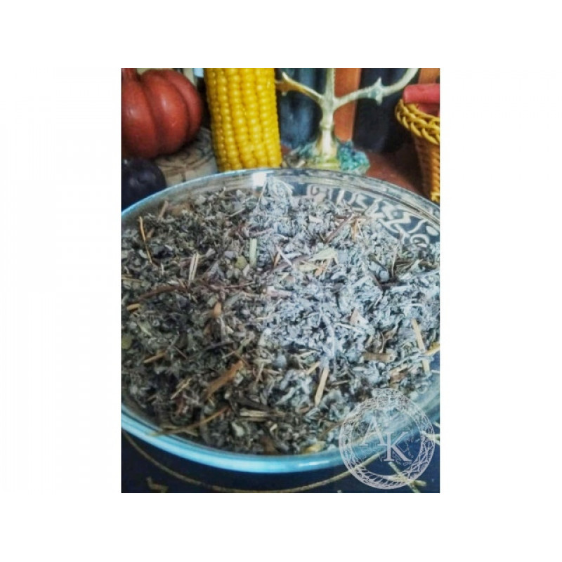 Трава шалфея