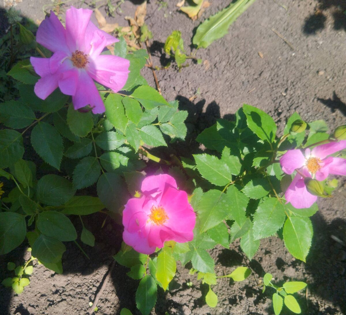 фото Татьяны