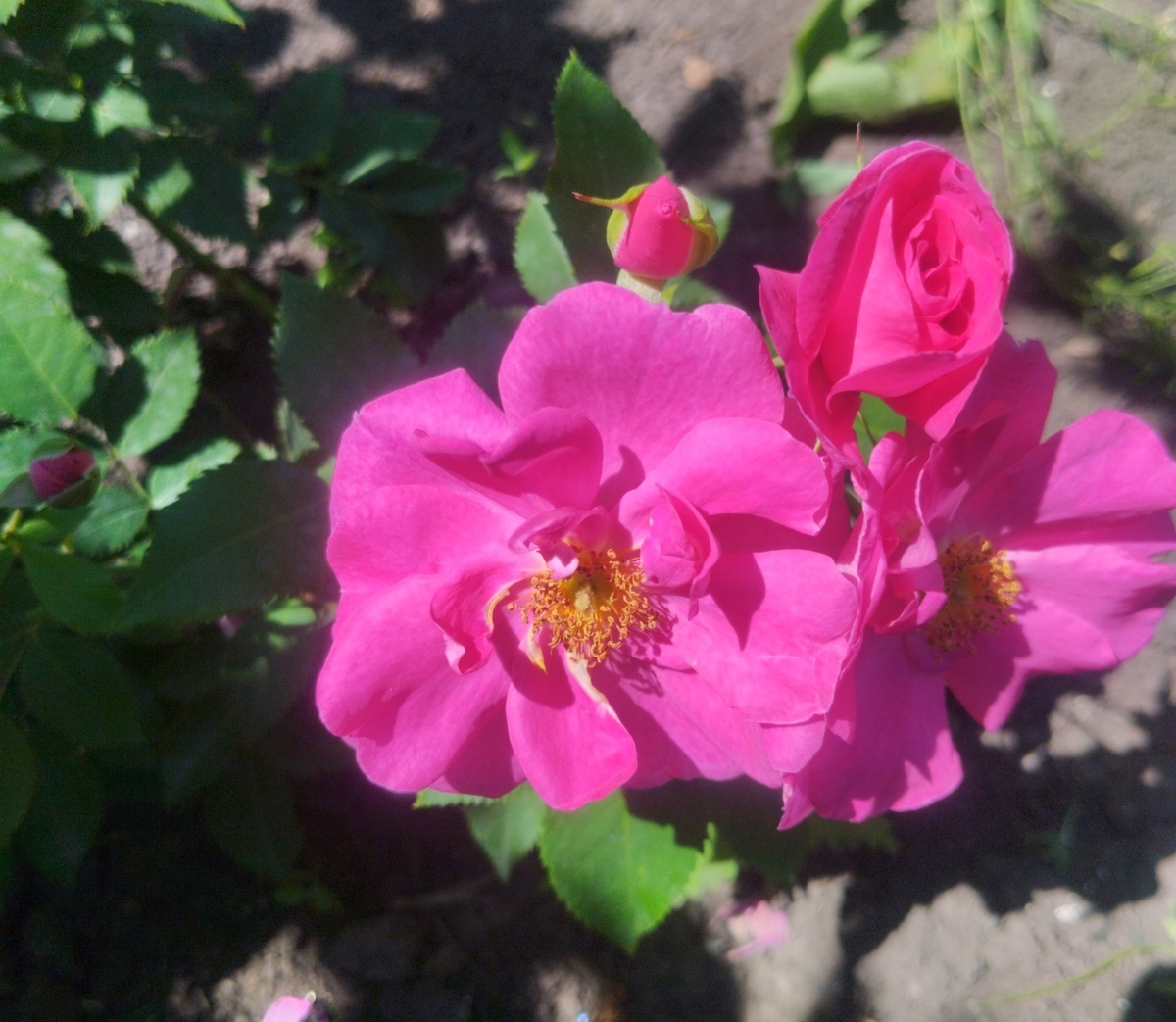 фото Татьяны