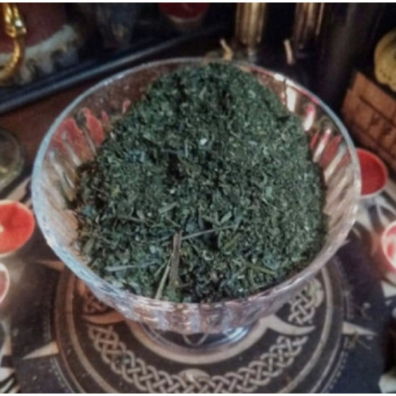 Чистотел трава