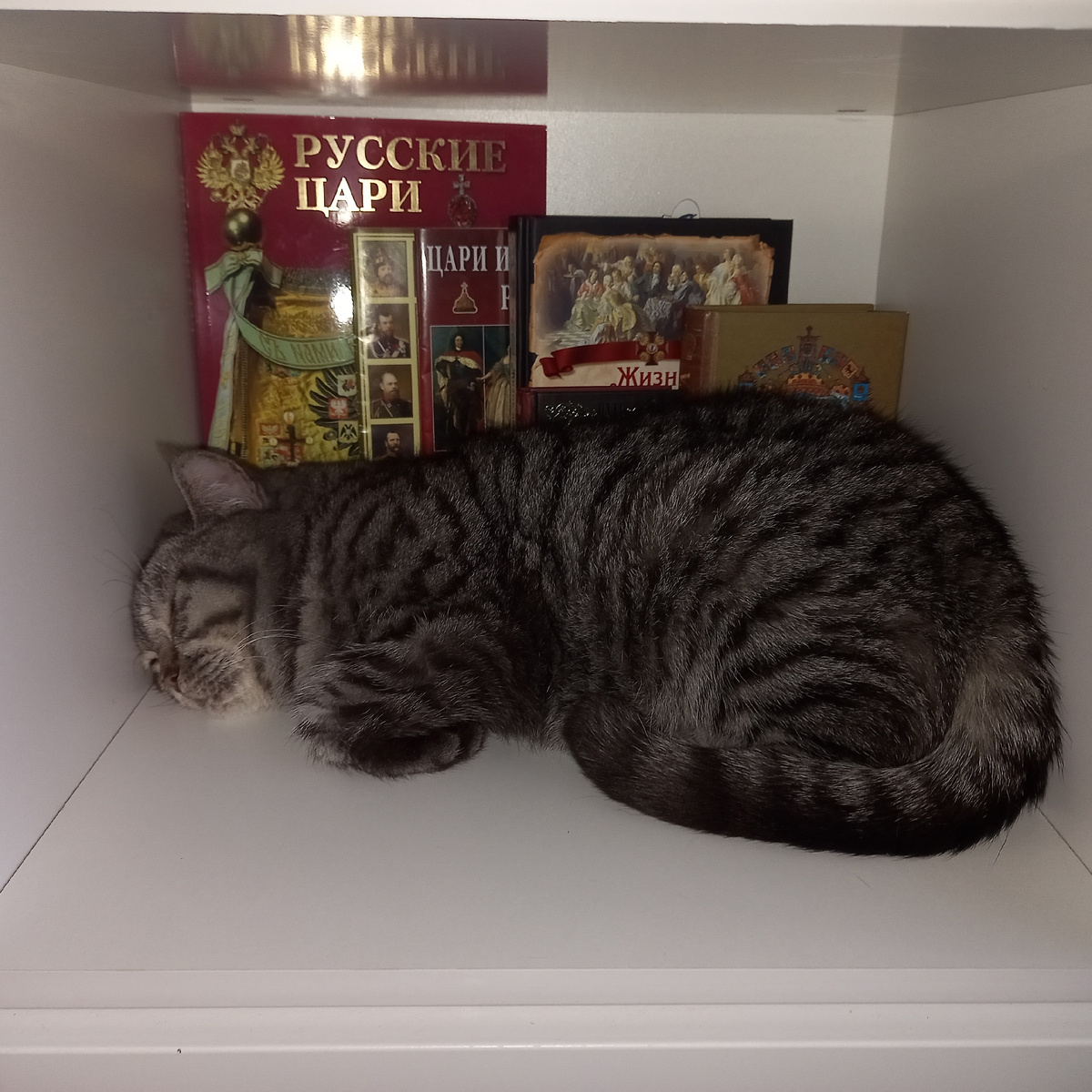 Читает наверно во сне...