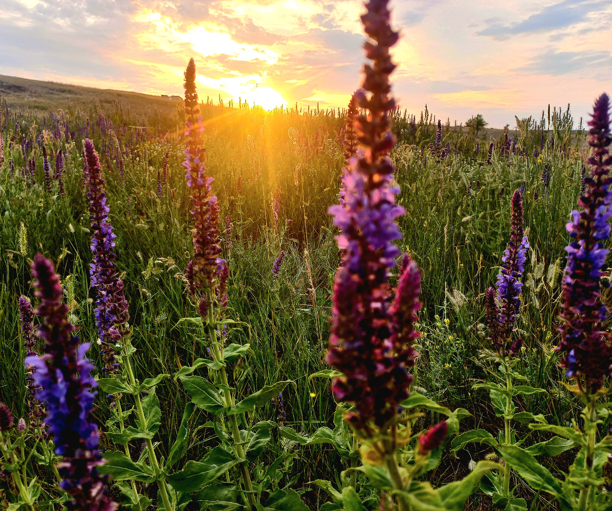 Фотография автора канала "Симфония уютного быта"