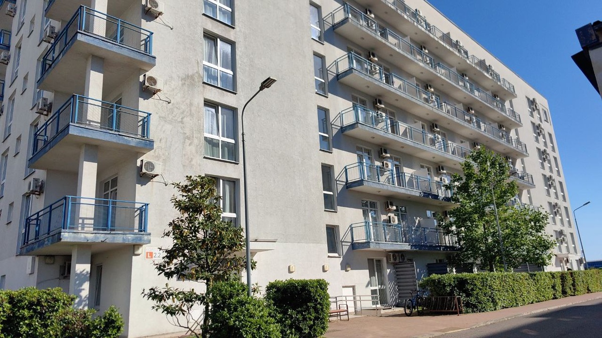 Внешний вид