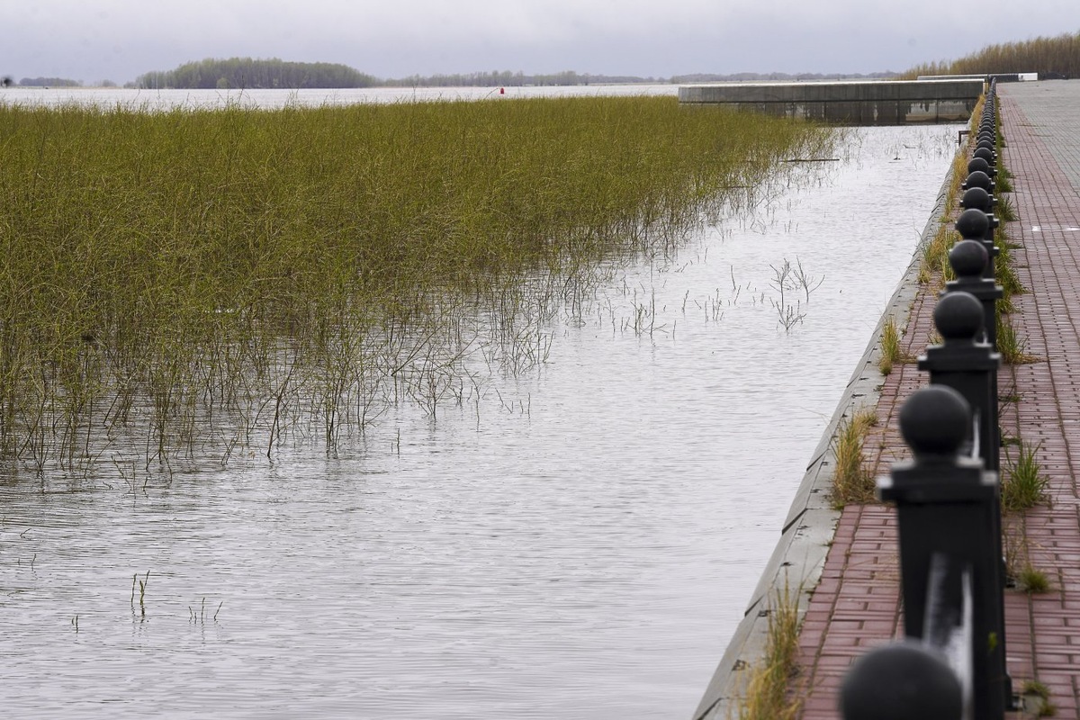    Вода в Оби упала на 18 сантиметров