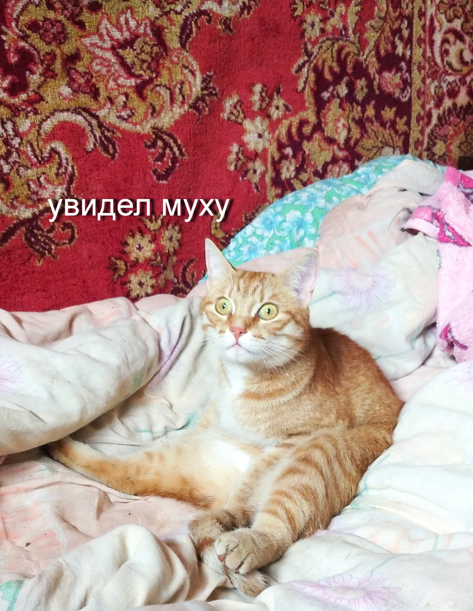 личное фото