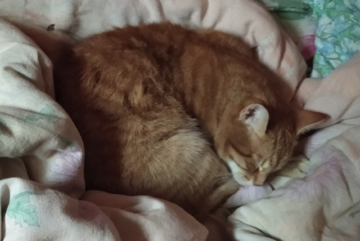 личное фото