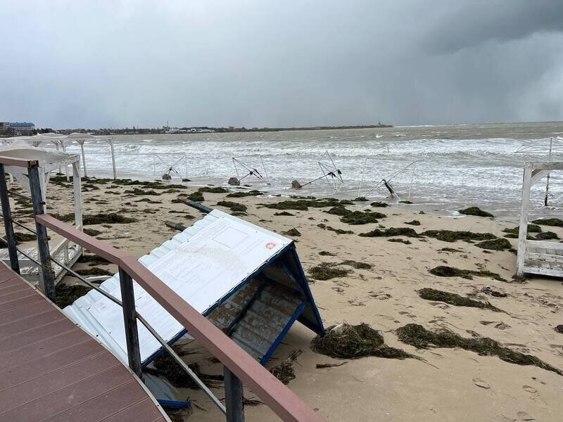 Фото: Наталья Сомова