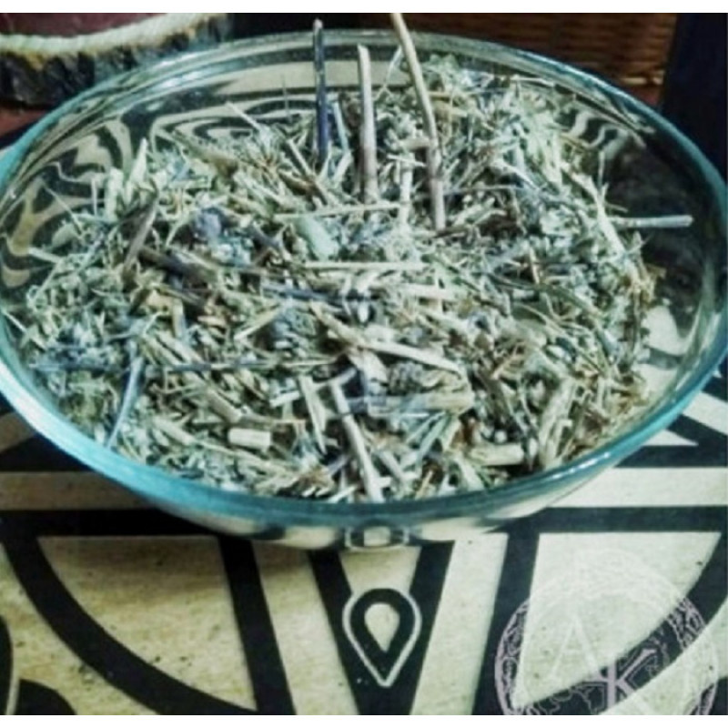 Чертополох трава