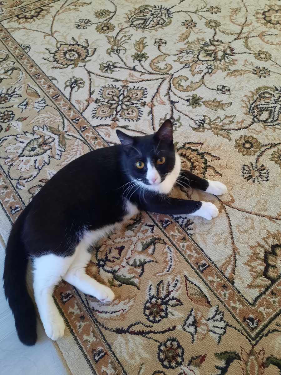 Вот такой он сейчас 