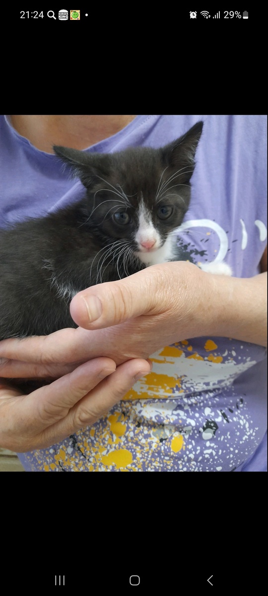 Вот таким мы его взяли у знакомых