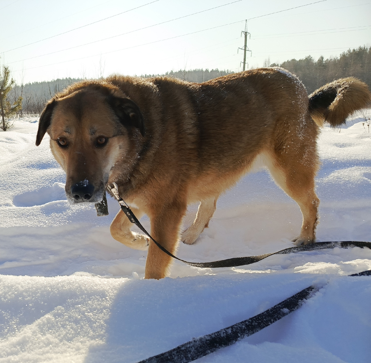 Возьмите меня домой