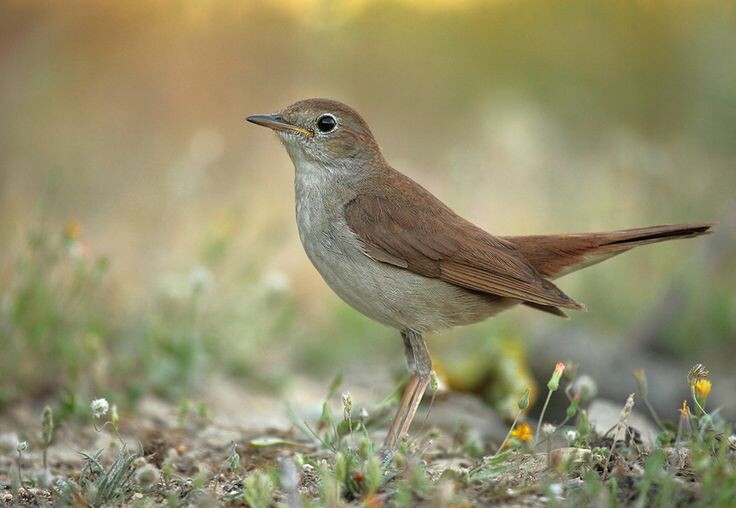 Фото взято из открытого доступа.