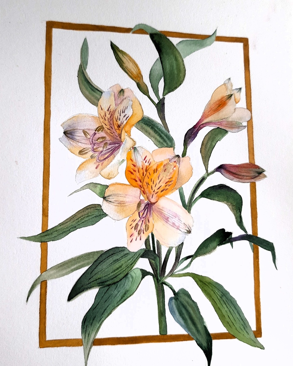 Автор рисунка - наша читательница Ольга Коренкова. Лепестки альстромерии протиснулись к нам в форточку и так и тянутся обниматься, видите? 😊