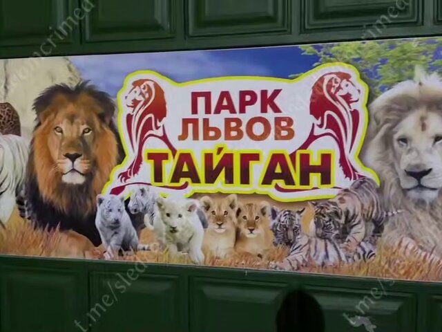    Фото: телеграм-канал "Следком Крыма и Севастополя"