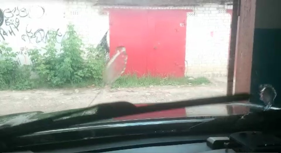 Так работали ДО