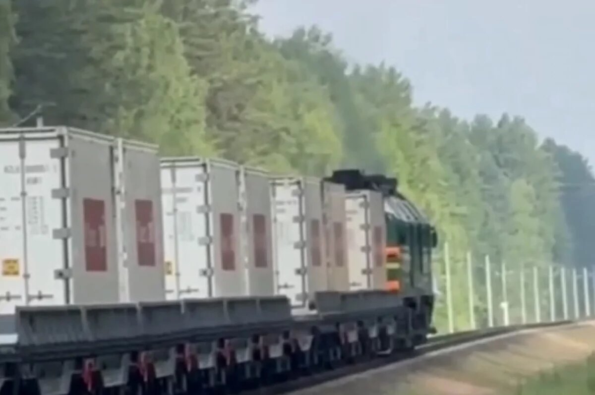    Коц: Киев врет, обвиняя Россию в подлоге при передаче тел бойцов ВСУ