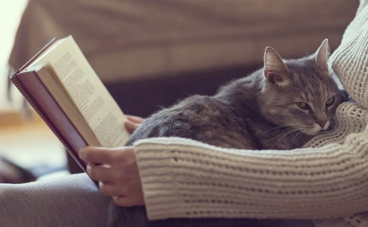 Фото из Интернета.