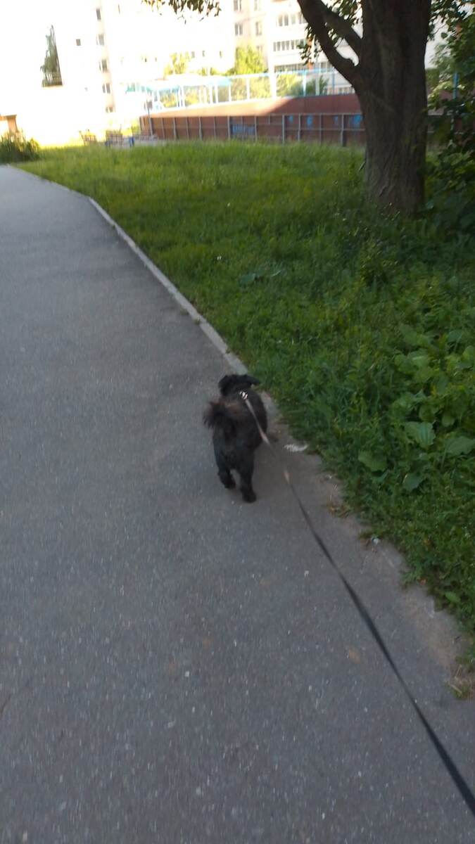 Утро , бежим по делам